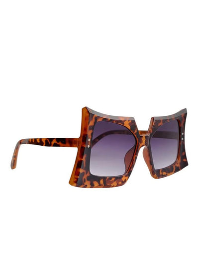 Angular Pointed Double Pin Point Fashion Sunnies